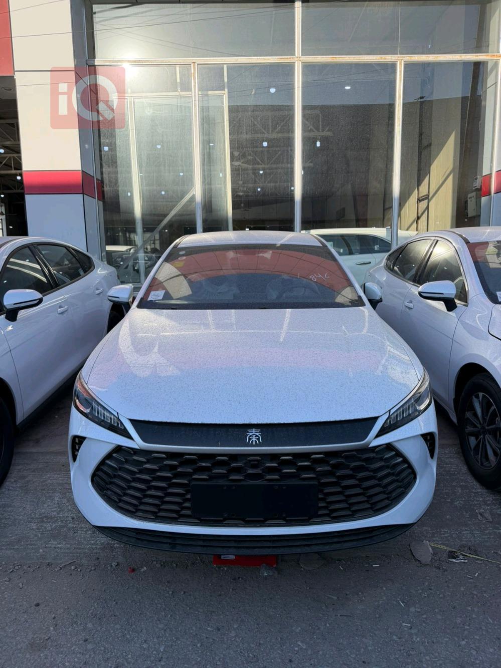 بی وای دی Qin Plus